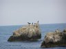 Martyan Nature Preserve5.JPG - 